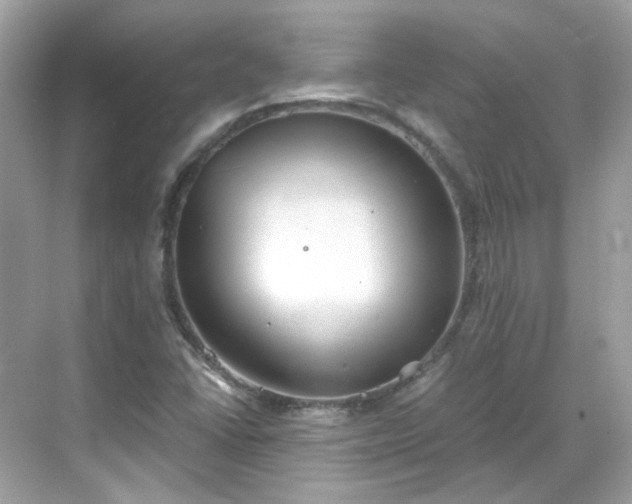 X0000068731406200605051447