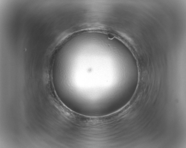 X0000068731407200605051447