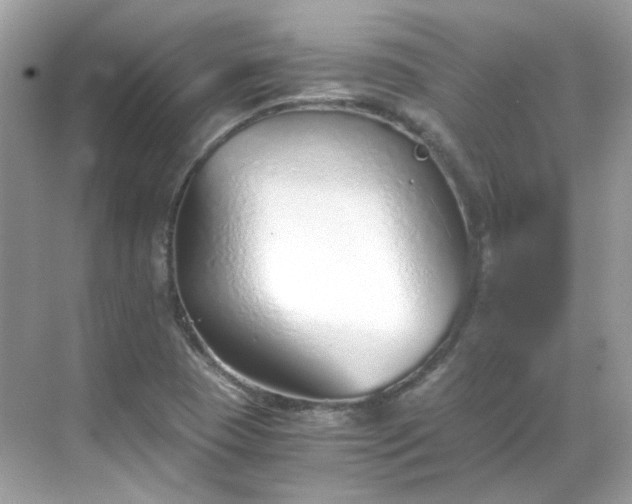 X0000068731409200605051447