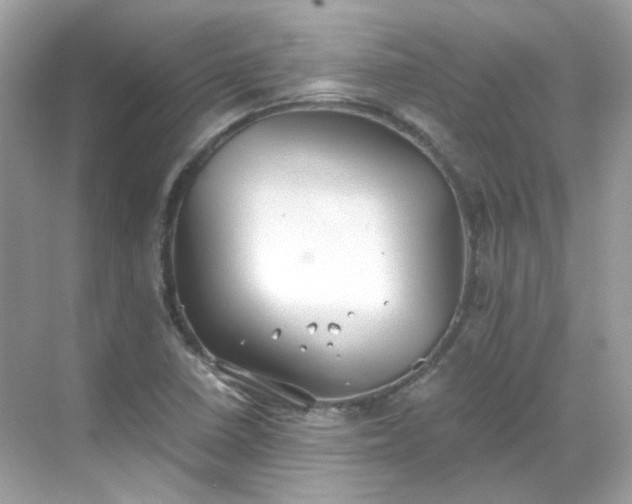 X0000068731410200605051447