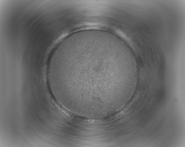 X0000068731411200605051447