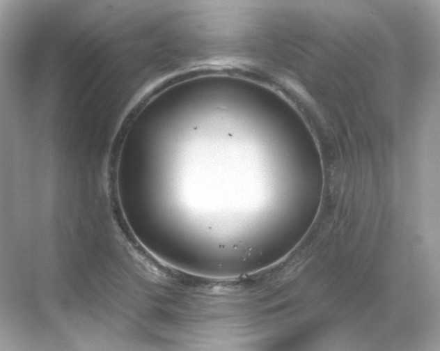 X0000068731412200605051447