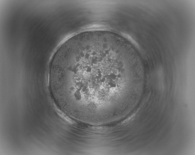 X0000068731413200605051447