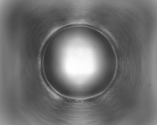 X0000068731416200605051447