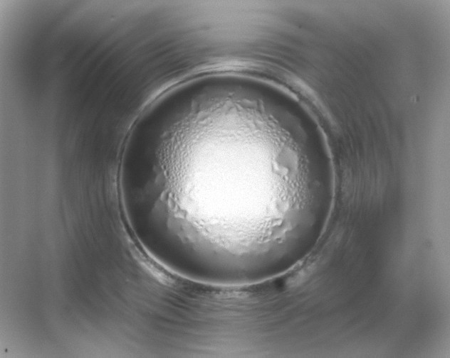 X0000068731417200605051447