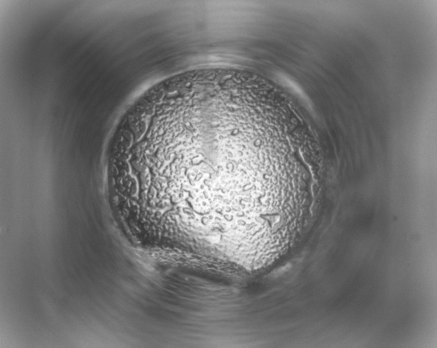 X0000068731419200605051447