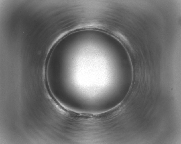 X0000068731420200605051447