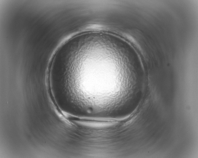 X0000068731421200605051447