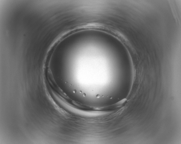 X0000068731422200605051447