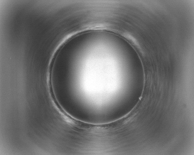 X0000068731424200605051447