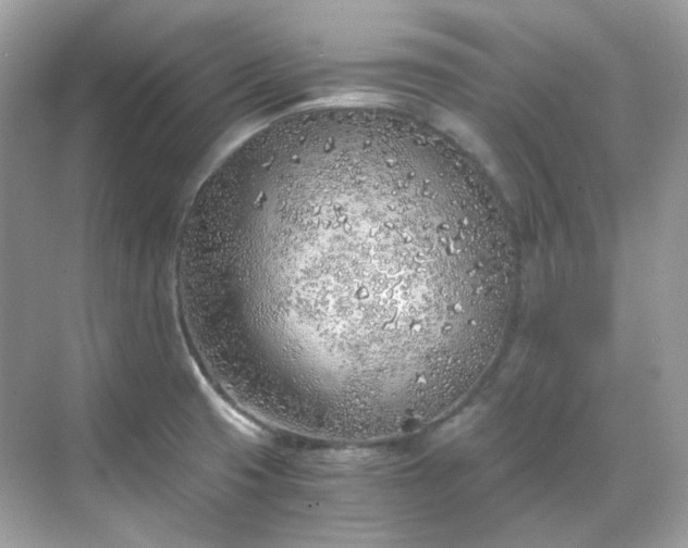 X0000068731425200605051447