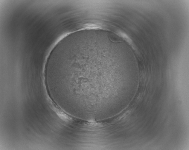 X0000068731427200605051447