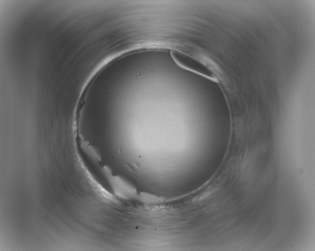 X0000068731428200605051447