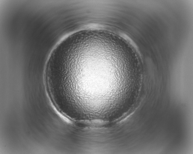 X0000068731429200605051447