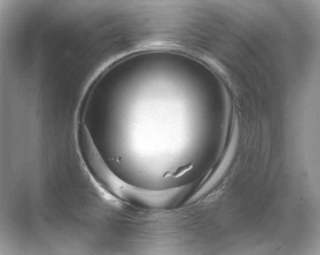 X0000068731430200605051447