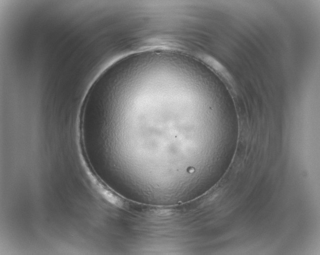 X0000068731431200605051447