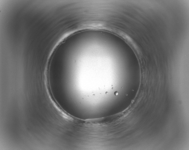 X0000068731432200605051447