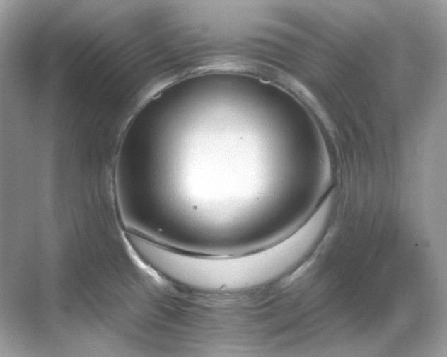 X0000068731433200605051447