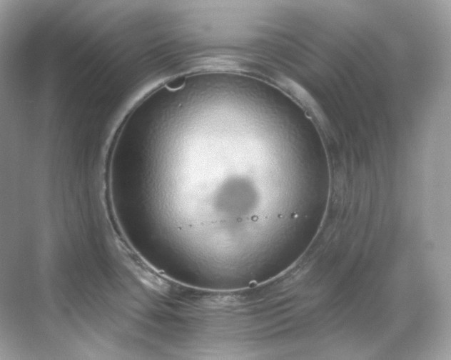 X0000068731435200605051447