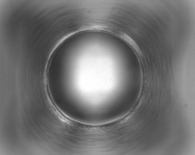 X0000068731436200605051447