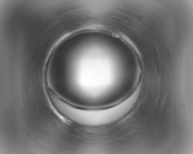 X0000068731437200605051447