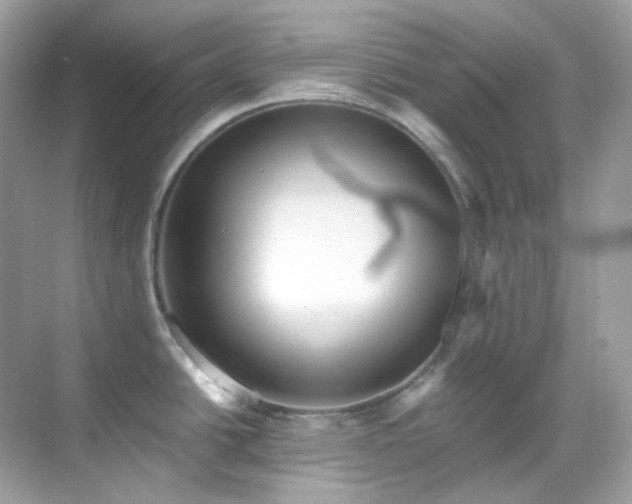 X0000068731438200605051447