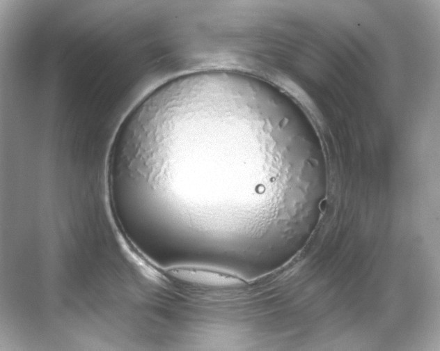 X0000068731439200605051447