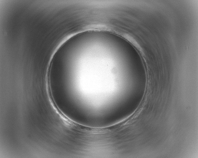 X0000068731440200605051447