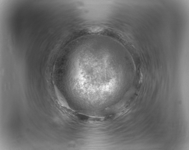 X0000068731441200605051447