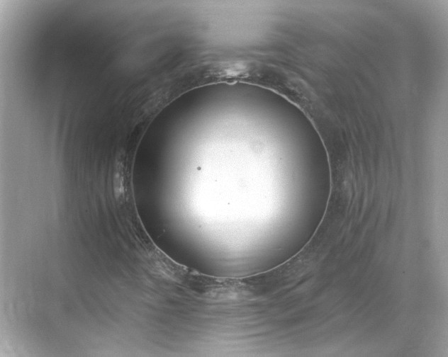 X0000068731442200605051447