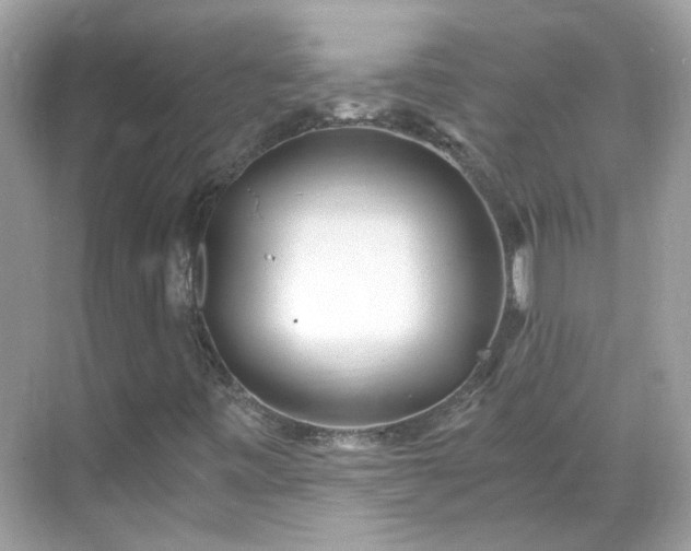 X0000068731443200605051447