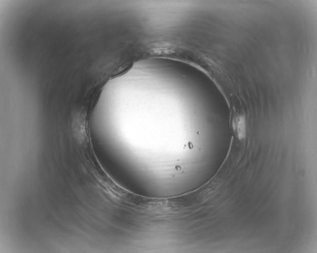 X0000068731444200605051447