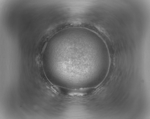 X0000068731445200605051447