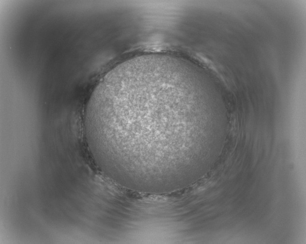 X0000068731446200605051447