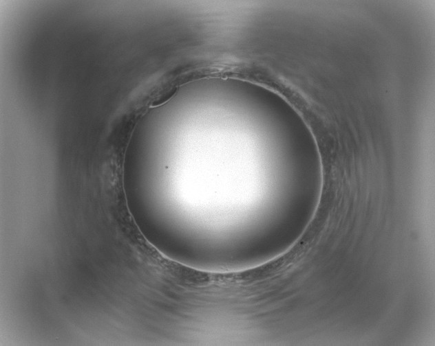 X0000068731447200605051447