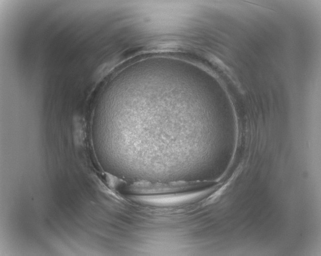 X0000068731449200605051446