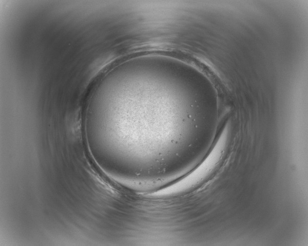 X0000068731450200605051446