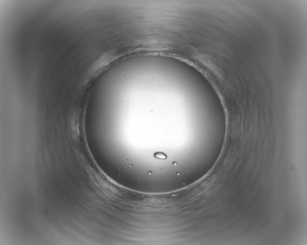 X0000068731451200605051446