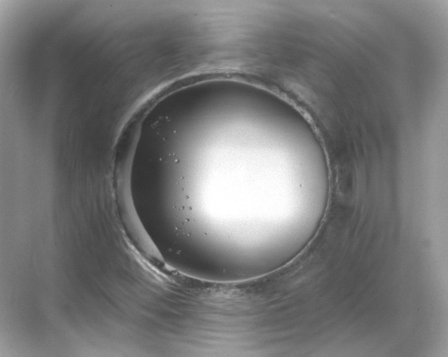 X0000068731452200605051446