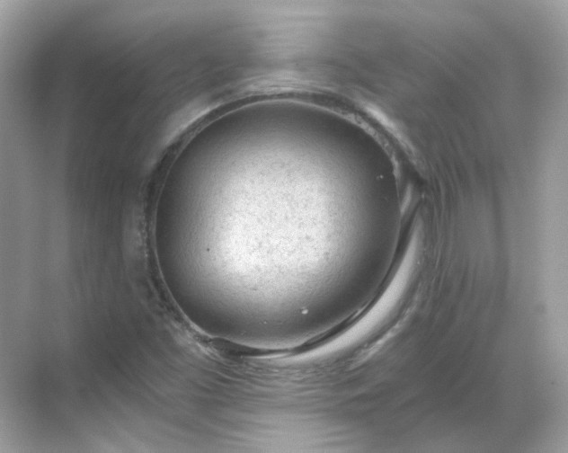 X0000068731453200605051446