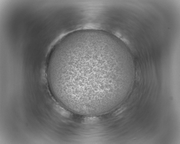 X0000068731454200605051446