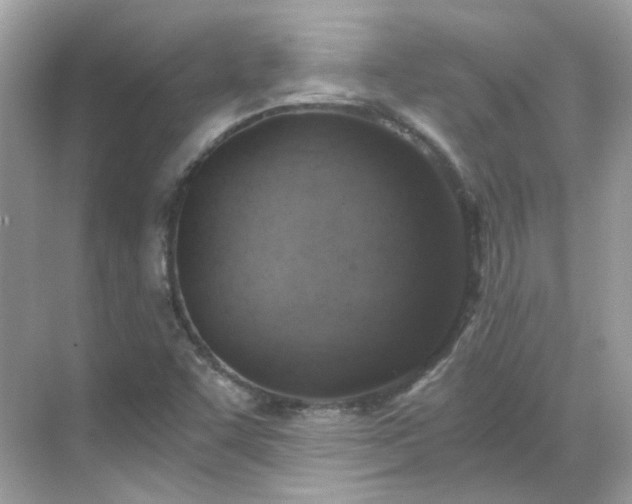 X0000068731455200605051446