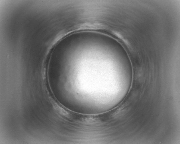 X0000068731459200605051446