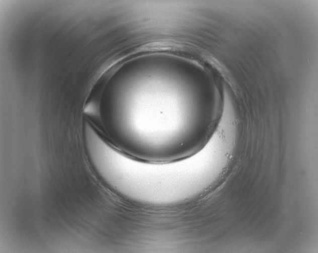 X0000068731465200605051446