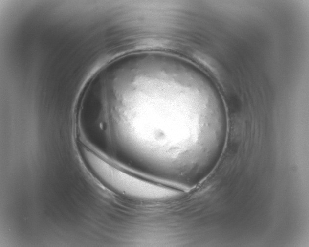 X0000068731467200605051446