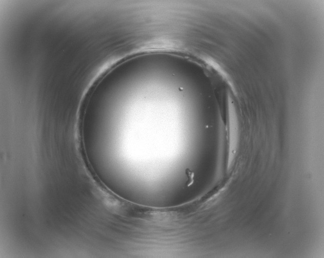 X0000068731469200605051446