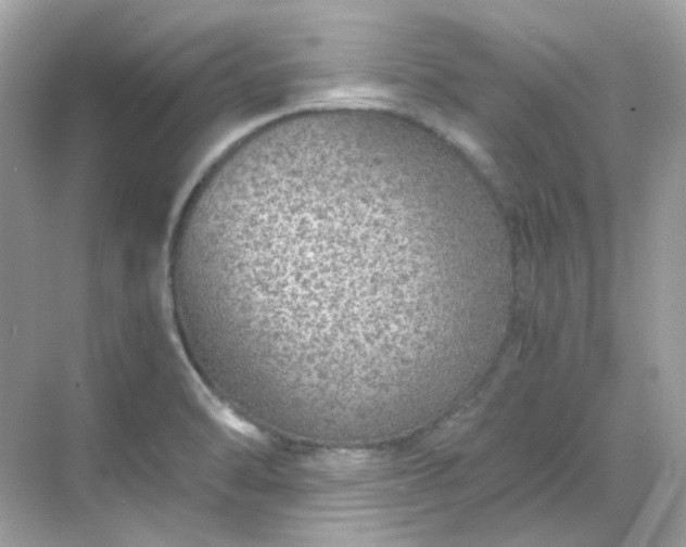 X0000068731470200605051446