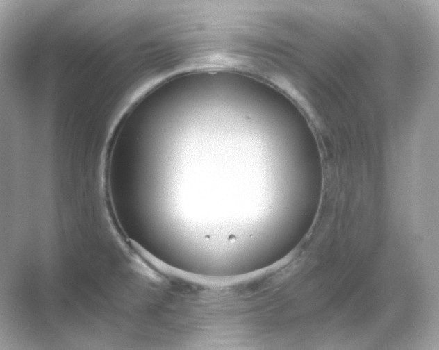 X0000068731477200605051446