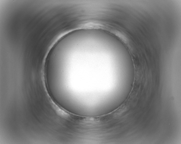 X0000068731478200605051446