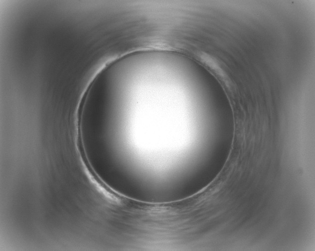 X0000068731479200605051446